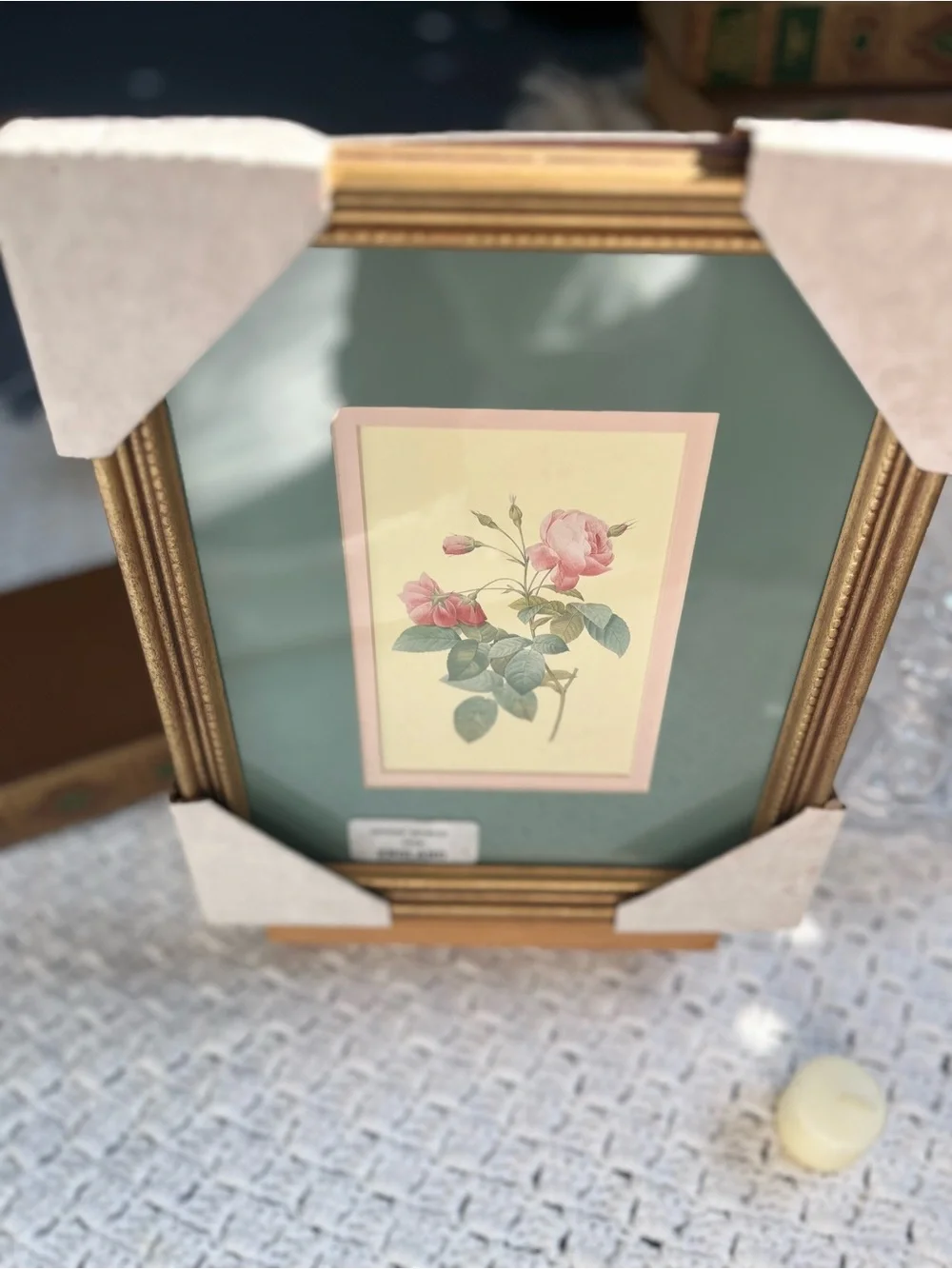 Gold Framed Pink Rose Botanical Wall Art  illustration by Pierre-Joseph Redout